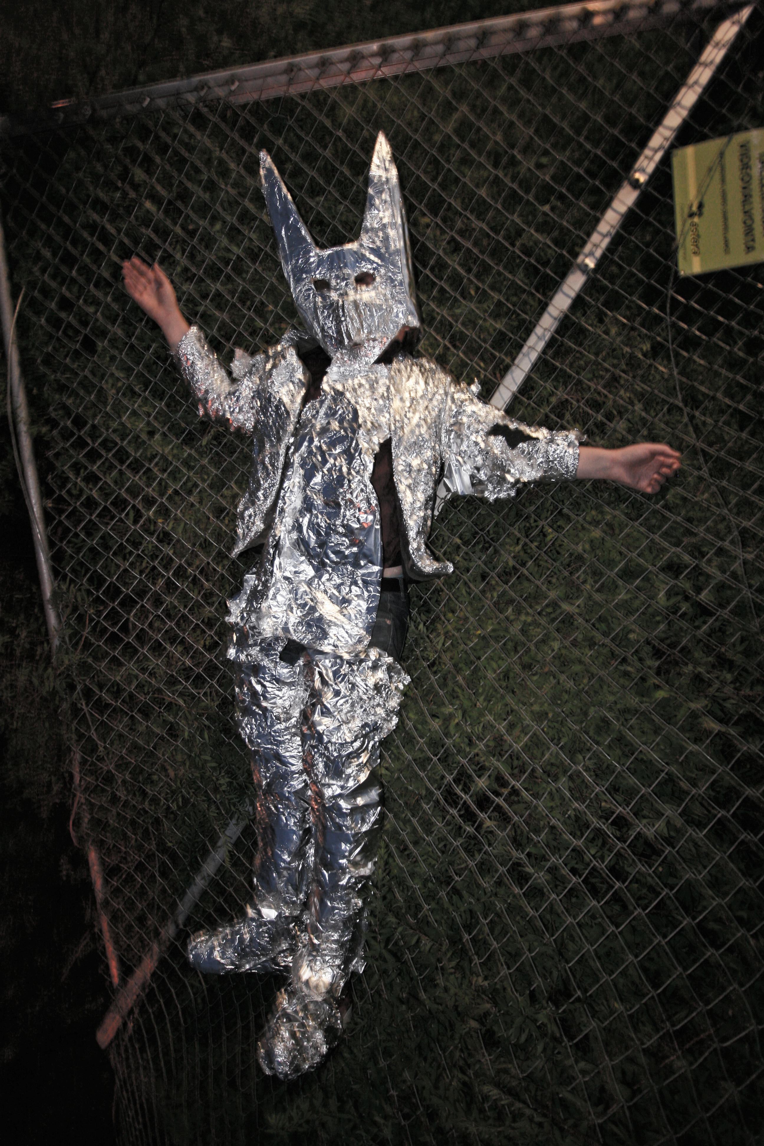 Mr. Silver fox and fence.jpg