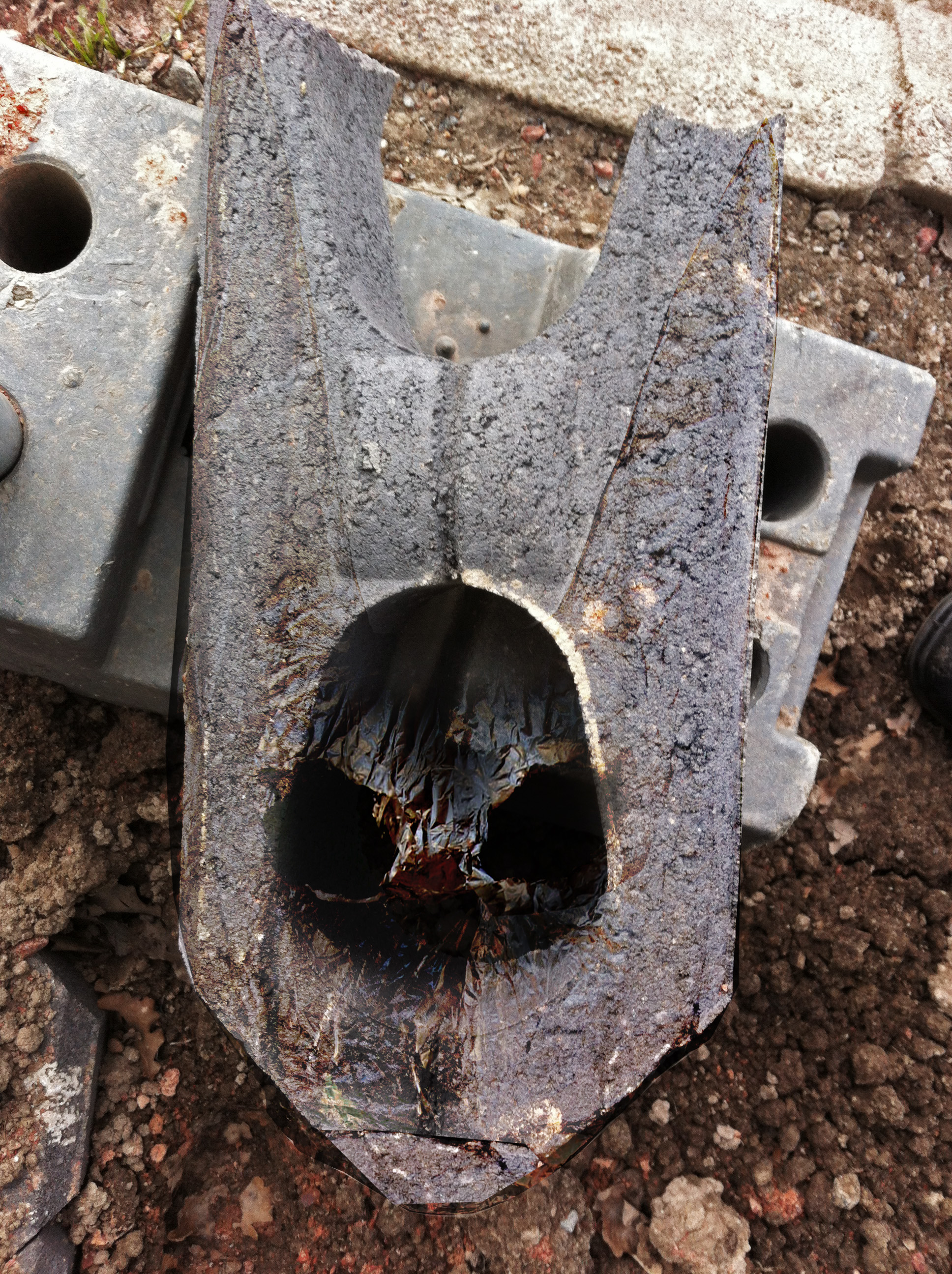 Silver fox concrete.jpg