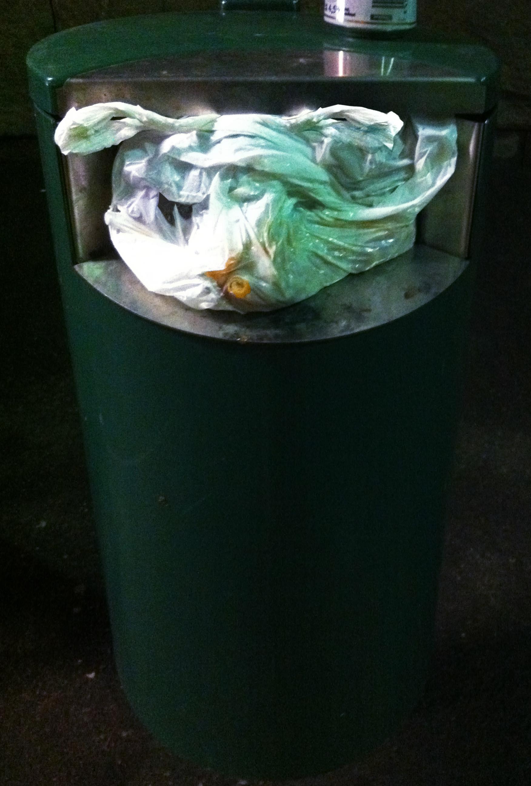 trash can pig small.jpg